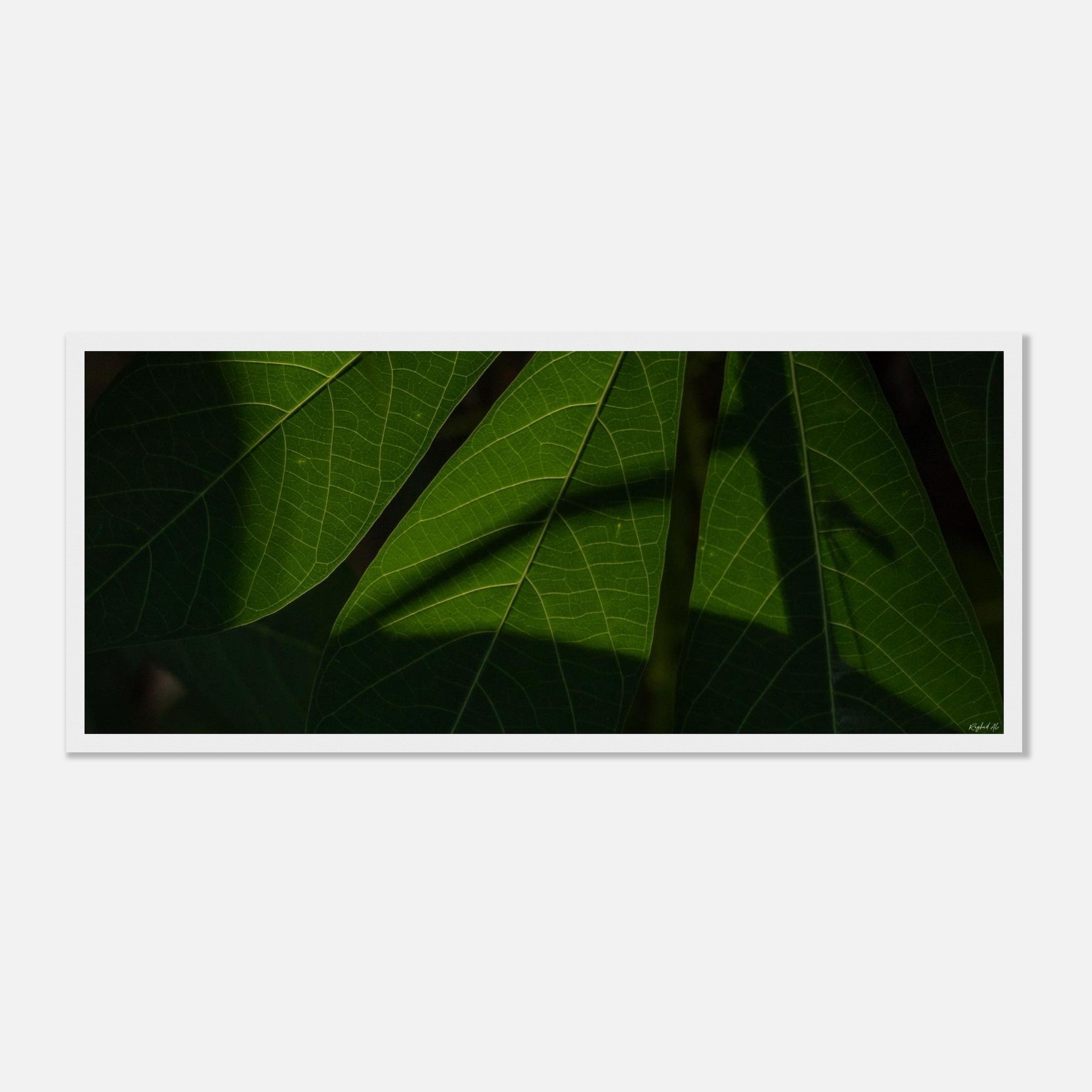 882a0a9c-f2a6-4caa-8b46-5d4d50e4cf29