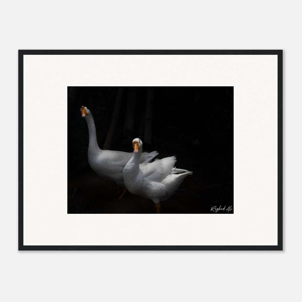 f195596c-18f6-44c1-ad66-4babac5bdc0d